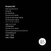 Bang Olufsen BeoPlay H8i