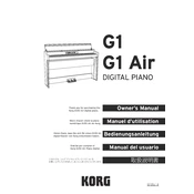 KORG G1 Air manual cover