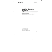 Sony SRS D300 manual cover