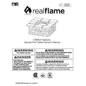 Realflame C11811LP manual cover