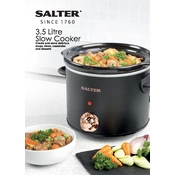 Salter EK2623 3.5 Litre Slow Cooker manual cover