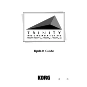 KORG TRINITY plus