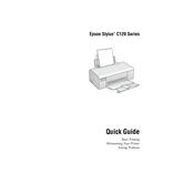 Epson Stylus C120 manual cover