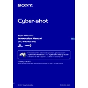 Sony DSC-W80 manual cover