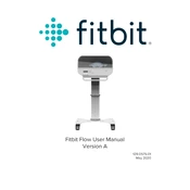 Fitbit Flow manual cover