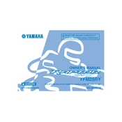 Yamaha YFM25RY Raptor 250 2009 manual cover