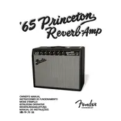 Fender 65 Princeton Reverb Amp 2172000000 120V 60Hz NA Amplifier manual cover