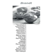 Brandt BPI6210B Hob manual cover