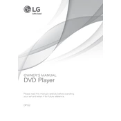 LG DP132 DP132.AUSALLK DVD