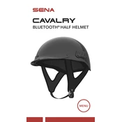 Sena Cavalry