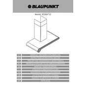 Blaupunkt 5DO69752 manual cover