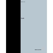 Bang Olufsen Beovision Avant