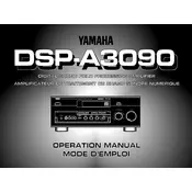 Yamaha DSP-A3090 Amplifier