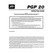 Peavey PGP 20 Amplifier manual cover