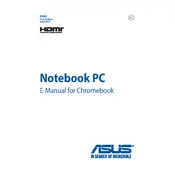 ASUS Chromebook C300 Laptop