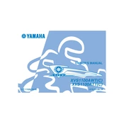 Yamaha XVS1100AWT C, XVS1100ATT C V Star 2005 manual cover