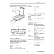 Epson Expression 800