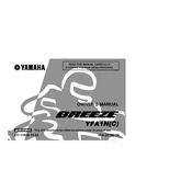 Yamaha YFA1N C Breeze 2001 manual cover