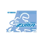 Yamaha YW125Z Zuma 2010 manual cover