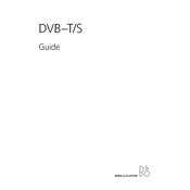 Bang Olufsen DVB-TS manual cover