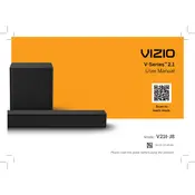 Vizio V21t-J8 TV