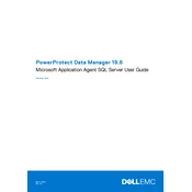 Dell PowerProtect 19.6 Data Manager