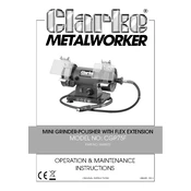 Clarke 6500072 CGP75F Mini Grinder-Polisher Flex Extension manual cover