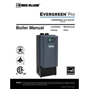 Weil-McLain Evergreen Pro 110 Boiler