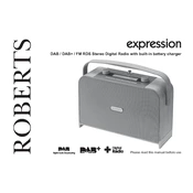 Roberts Expression DAB 2016 manual cover