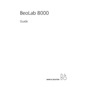 Bang Olufsen Beolab 8000 manual cover