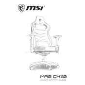 MSI MAG CH110 manual cover