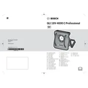 Bosch 0 601 446 800 Light manual cover