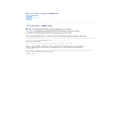 Dell Latitude 2110 Laptop