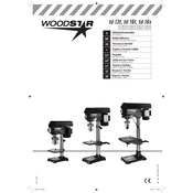 Woodstar TD 13T British Plug 3906803905 Drill manual cover