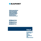 Blaupunkt 5DB66254 manual cover