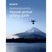 Sony GBL-T3 manual cover