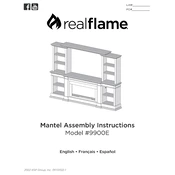 Realflame 9900E manual cover