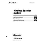 Sony SRS BT100 manual cover