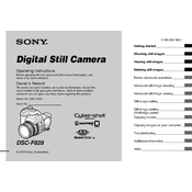 Sony DSC-F828 manual cover