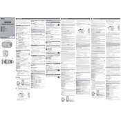 Nikon NIKKOR Z DX 50-250mm f/4.5-6.3 VR