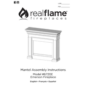 Realflame 6720E manual cover