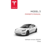 Tesla Model 3 2022 China manual cover