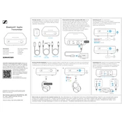 Sennheiser BT T100 manual cover