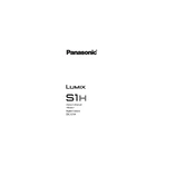 Panasonic DC-S1H manual cover