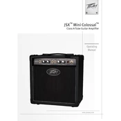 Peavey JSX Mini Colossal Amplifier manual cover