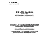 Toshiba 24W1343G TV manual cover