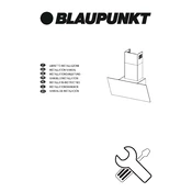 Blaupunkt 5DO69751 manual cover