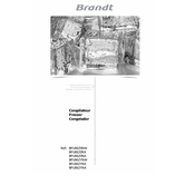 Brandt BFU8620NA Freezer manual cover