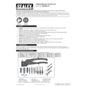 Sealey AK396.V3 Riveter manual cover