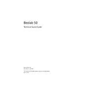 Bang Olufsen BeoLab 50